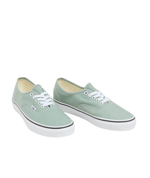 Vans Authentic Color Theory Iceberg l'achat 