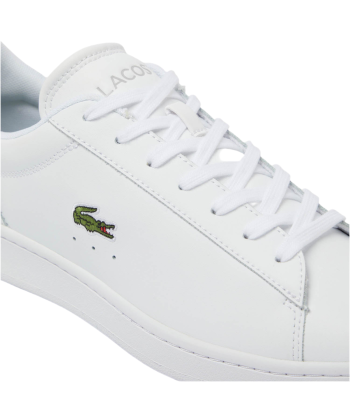 Lacoste Carnaby SET 224 la colonne vertébrale