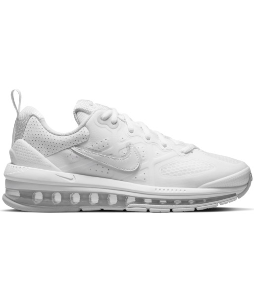 Nike Air Max Genome la chaussure