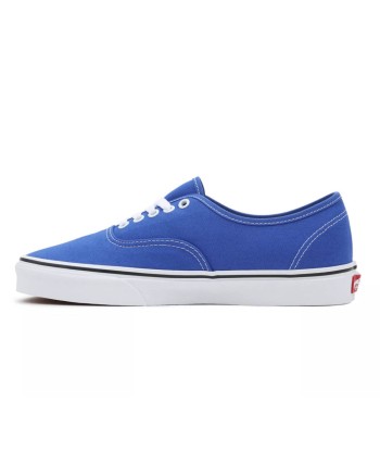 Vans Authentic Color Theory shop